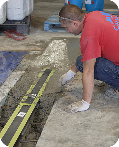 Home hero animated image